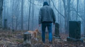 Tras el revuelo por "Good Boy", ¿Cómo averiguar si un perro murió en una película?