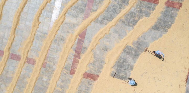 Vista aérea tomada con un dron de personas secando granos en un complejo gubernamental, en el distrito de Yongchuan de la municipalidad de Chongqing, en el suroeste de China.