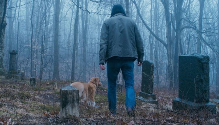 Tras el revuelo por "Good Boy", ¿Cómo averiguar si un perro murió en una película?