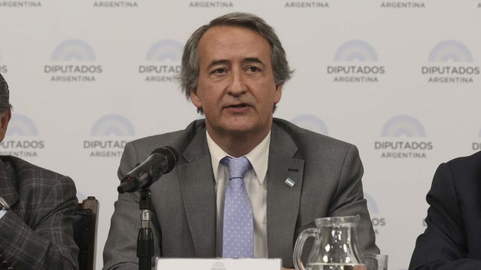 El diputado Nicolás Mayoraz, de La Libertad Avanza