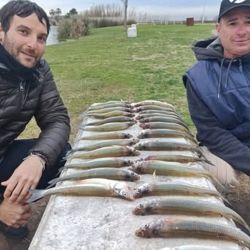 A poco menos de un mes del final del invierno, la pesca atraviesa un momento de transición. 