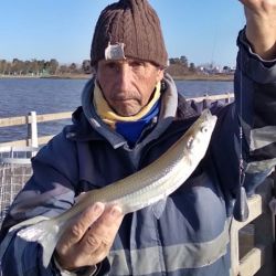 A poco menos de un mes del final del invierno, la pesca atraviesa un momento de transición. 
