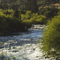 El evento es organizado por el Gobierno de la Provincia del Neuquén, a través del Ministerio de Turismo, con el acompañamiento del Ente Oficial de Turismo Patagonia Argentina.