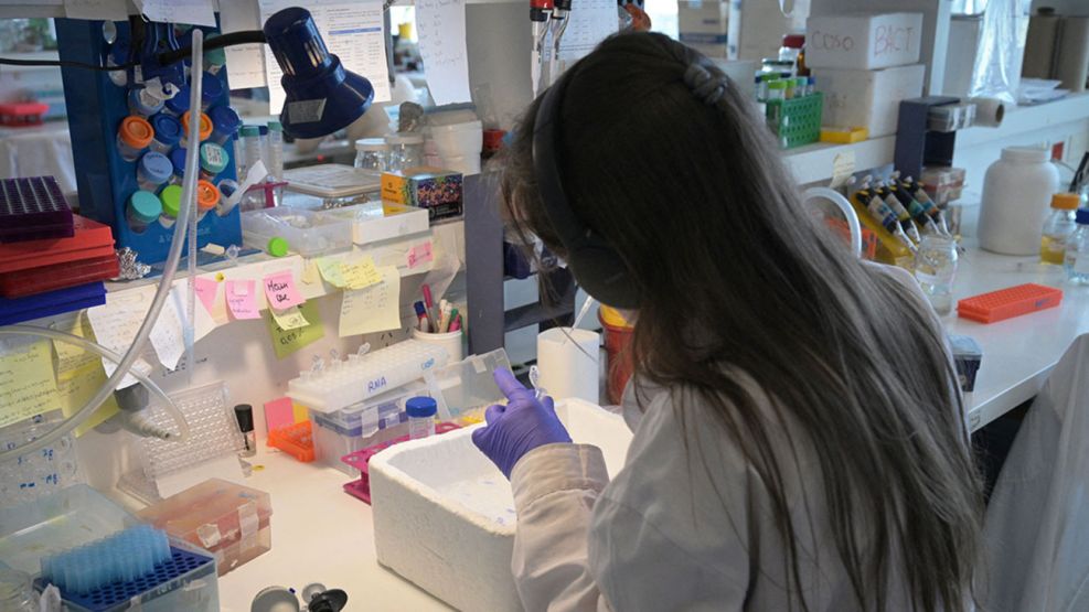 La ANMAT fue reconocida como Autoridad Reguladora Nacional de Referencia Regional 22082025