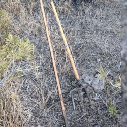 Esta vigente la veda de pesca sobre ríos y sus desembocaduras hasta 100 metros a ambas márgenes de las mismas hasta el 1 de octubre inclusive.