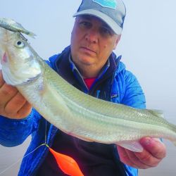 El Río de la Plata atraviesa el mejor momento de la temporada de pejerrey.