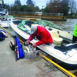 El Río de la Plata atraviesa el mejor momento de la temporada de pejerrey.