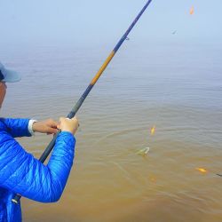 El Río de la Plata atraviesa el mejor momento de la temporada de pejerrey.