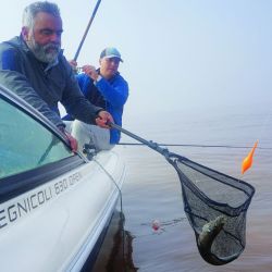 El Río de la Plata atraviesa el mejor momento de la temporada de pejerrey.