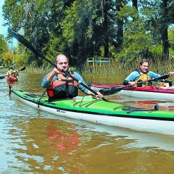 Hay 4 fases en la remada.  El ataque: estiramos el brazo para efectuarla. La fase aérea: el brazo se eleva para ir a buscar la palada. La pasada: giramos el pecho para rotar. Y la salida: al finalizar la remada se levanta de filo la  cuchara del agua.