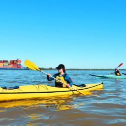 Hay 4 fases en la remada.  El ataque: estiramos el brazo para efectuarla. La fase aérea: el brazo se eleva para ir a buscar la palada. La pasada: giramos el pecho para rotar. Y la salida: al finalizar la remada se levanta de filo la  cuchara del agua.