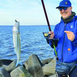 La oferta invernal se hace presente en esta parte del estuario, con pejerreyes a fondo y flote, y también regias carpas que toman masa y bagres de  todos los tamaños.