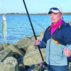 La oferta invernal se hace presente en esta parte del estuario, con pejerreyes a fondo y flote, y también regias carpas que toman masa y bagres de  todos los tamaños.