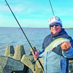 La oferta invernal se hace presente en esta parte del estuario, con pejerreyes a fondo y flote, y también regias carpas que toman masa y bagres de  todos los tamaños.