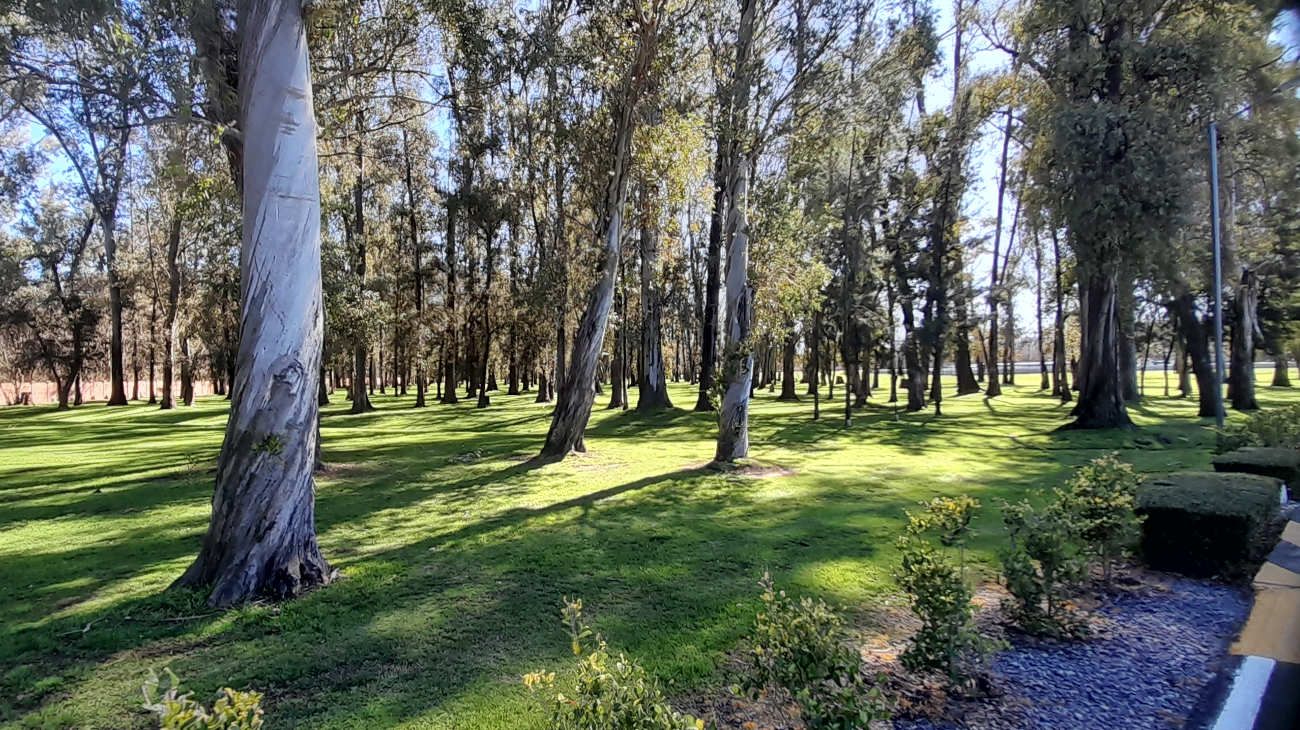  "Predio Lionel Andrés Messi, de la AFA".