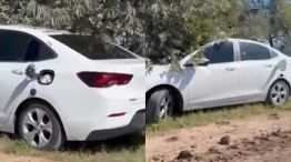 Crimen en San Antonio de Areco 20250825