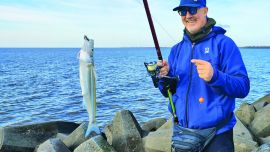 Las flechas de la escollera en isla Paulino
