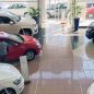 Nuevos créditos del Gobierno para comprar autos 0km y usados: montos, tasas y condiciones exigidas