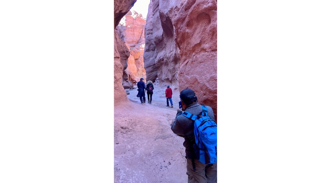 Amarela: Descubriendo Argentina a través de viajes de naturaleza y cultura