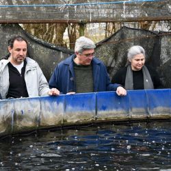 Desde su creación, la Estación ha cumplido un rol fundamental en la preservación de una de las especies más emblemáticas de la provincia de Buenos Aires, el pejerrey. 