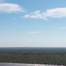 Abarca 1.500 hectáreas en la localidad de Toro Negro, departamento de Belgrano, provincia de San Luis. 