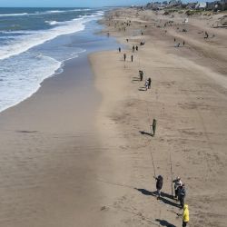 La Fiesta Nacional de la Pescadilla tendrá su 15° edición el próximo domingo 15 de septiembre, en un torneo en el que la especie no tiene peso mínimo para entrar en clasificación. 