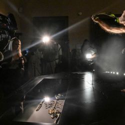 El modelo de reconstrucción artística hiperrealista del ancestro humano Australopithecus afarensis, "Lucy", se exhibe junto a los fragmentos óseos en el Museo Nacional Checo de Praga. Los fragmentos óseos de 3,18 millones de años de Lucy, ancestro humano que rara vez salen de Etiopía, se exhiben en Europa por primera vez. | Foto:Michal Cizek / AFP