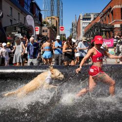 Imagen de un perro salpicando agua en una piscina mientras corre durante el evento "Pet-A-Palooza", en Vancouver, Columbia Británica, Canadá. "Pet-A-Palooza", también conocido como el Día del Perro, es una celebración anual de verano para los cachorros locales y sus dueños. El evento ofreció una variedad de actividades y entretenimiento relacionados con los perros, atrayendo a miles de dueños de perros y sus peludos compañeros. | Foto:Xinhua/Liang Sen