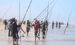 Pinamar celebra un logro histórico: la Fiesta de la Pescadilla fue declarada nacional