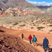Amarela: Descubriendo Argentina a través de viajes de naturaleza y cultura