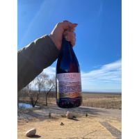 Valle de Uco y Chacras de Coria: tres días entre montañas, vinos y paisajes únicos en Mendoza