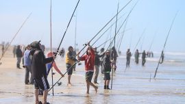La Fiesta Nacional de la Pescadilla tendrá su 15° edición el próximo domingo 15 de septiembre, en un torneo en el que la especie no tiene peso mínimo para entrar en clasificación.