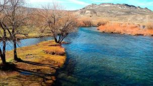 2608_rìo chimehuín