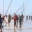 2608_pinamar