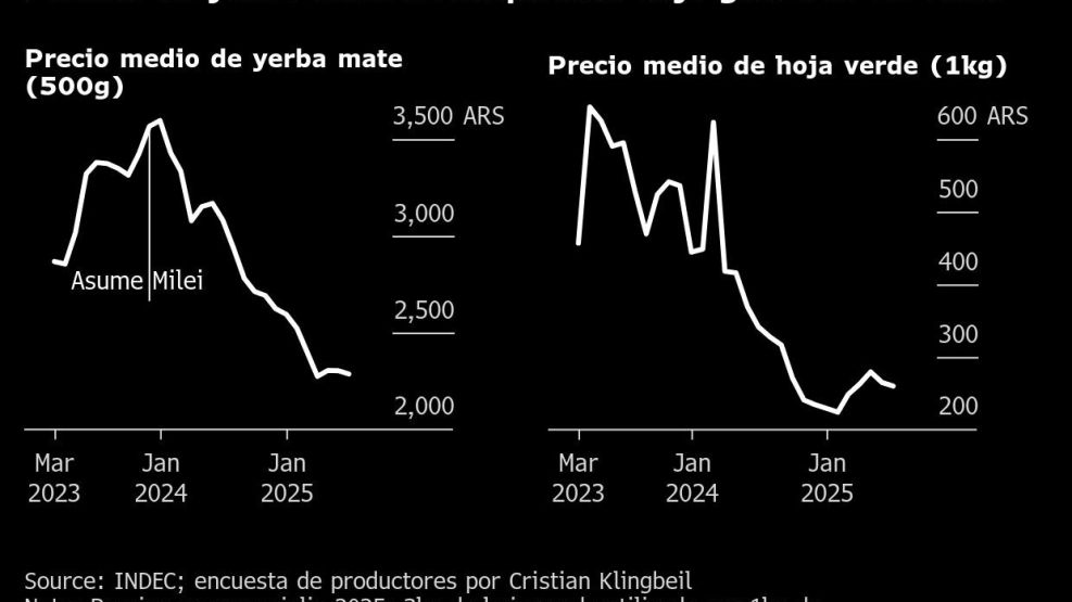 Precios de yerba mate se desploman bajo gobierno de Milei