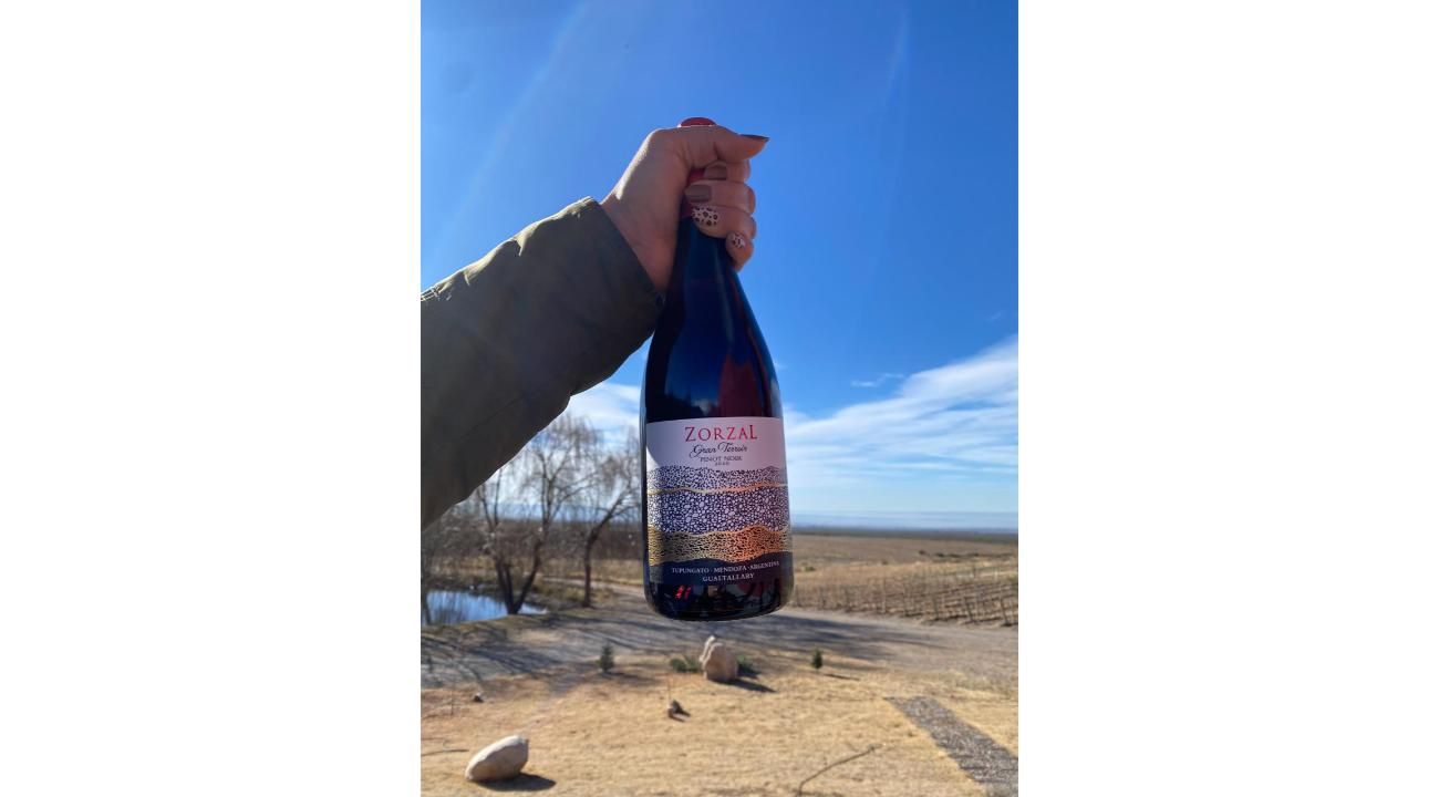 Valle de Uco y Chacras de Coria: tres días entre montañas, vinos y paisajes únicos en Mendoza