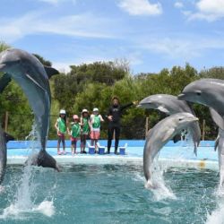 La oferta invernal se hace presente en esta parte del estuario, con pejerreyes a fondo y flote, y también regias carpas que toman masa y bagres de todos los tamaños.