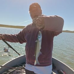 Una alternativa muy interesante para el pescador y también, para la familia, ya que el club dispone de una amplia orilla para realizar la actividad orillera. 