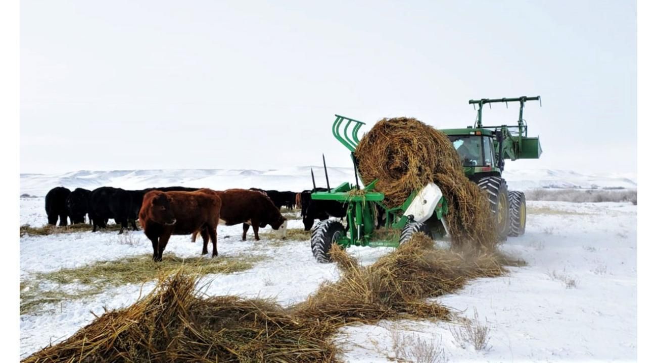 Hustler desembarca en Argentina. Innovación para la alimentación ganadera.