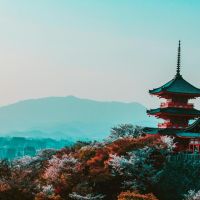 Japón: tradición milenaria, modernidad deslumbrante y una experiencia que transforma