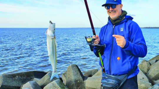 Las flechas de la escollera en isla Paulino