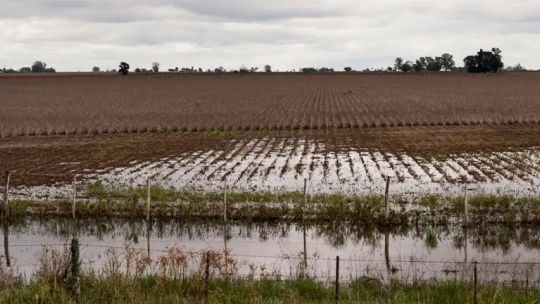 Campos inundados: “Hoy tenemos centenas de miles de hectáreas improductivas debajo del agua”