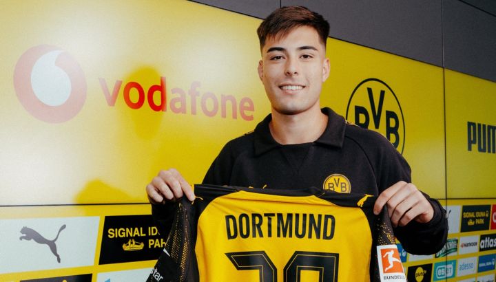 BVB Anselmino