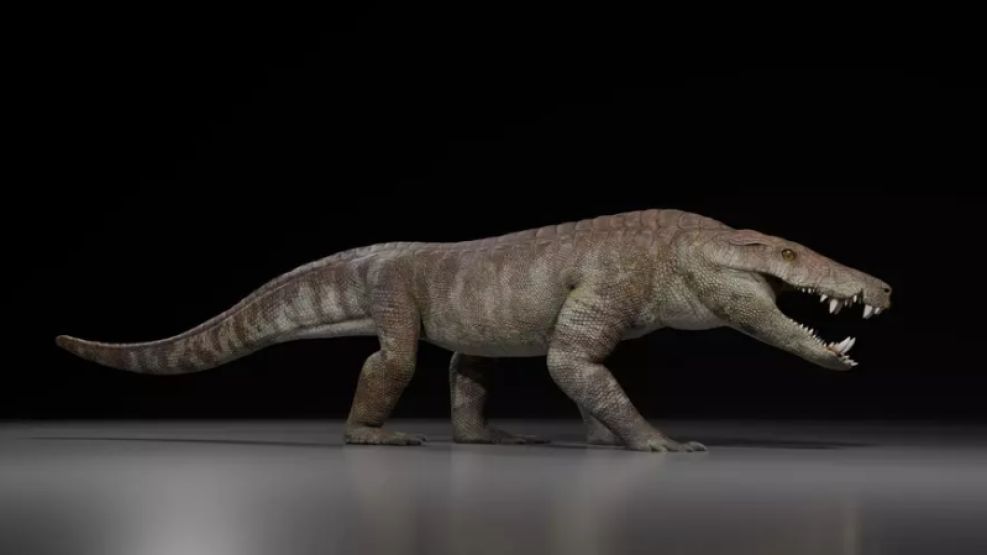 cocodrilo prehistórico que vivió hace 70 millones de años