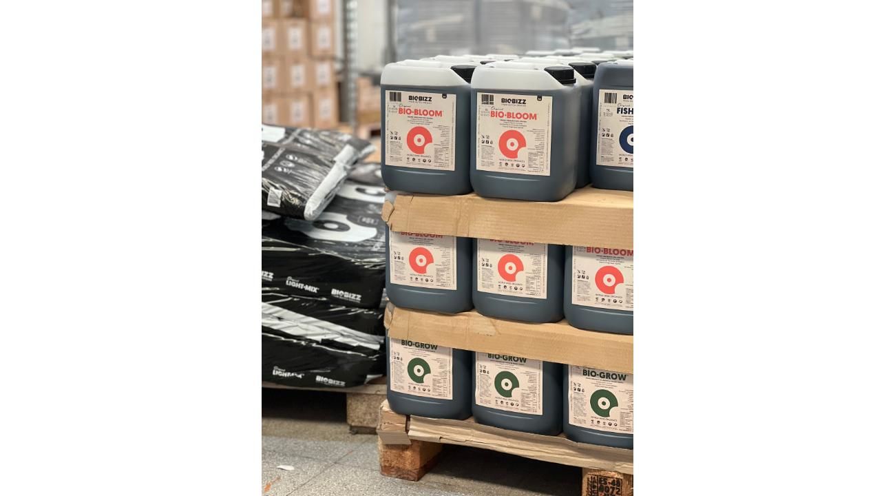 Mitad de año: el momento ideal para planificar el cultivo de cannabis