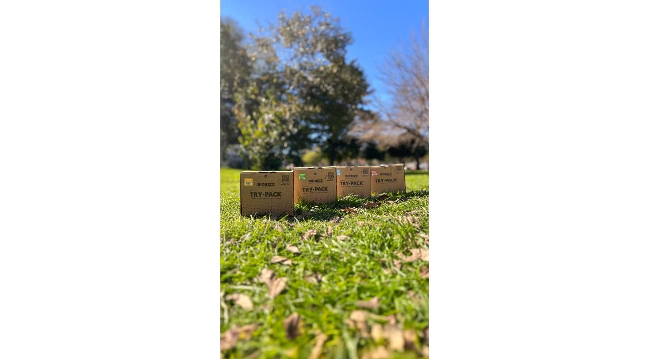 Mitad de año: el momento ideal para planificar el cultivo de cannabis