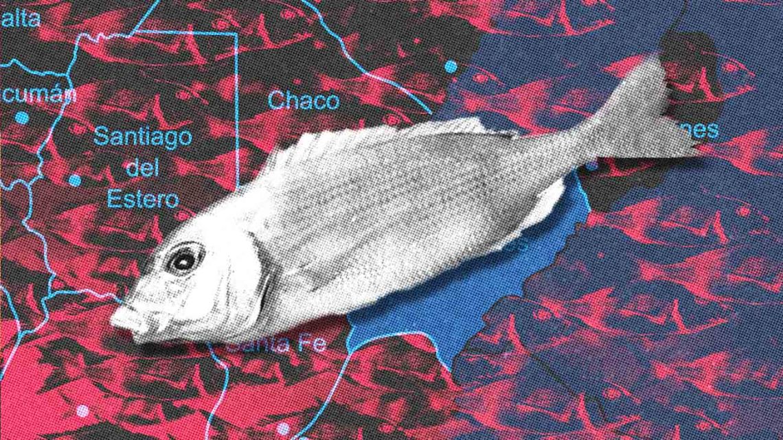 Dead fish province ART