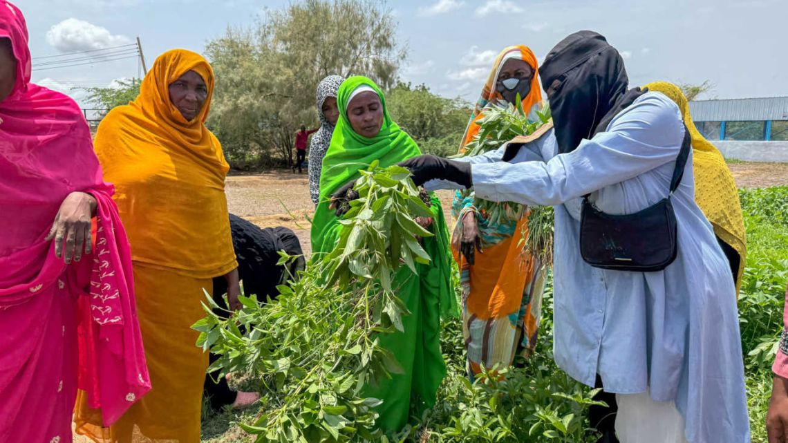África: $1 billón en ahorros necesita canalización hacia inversiones