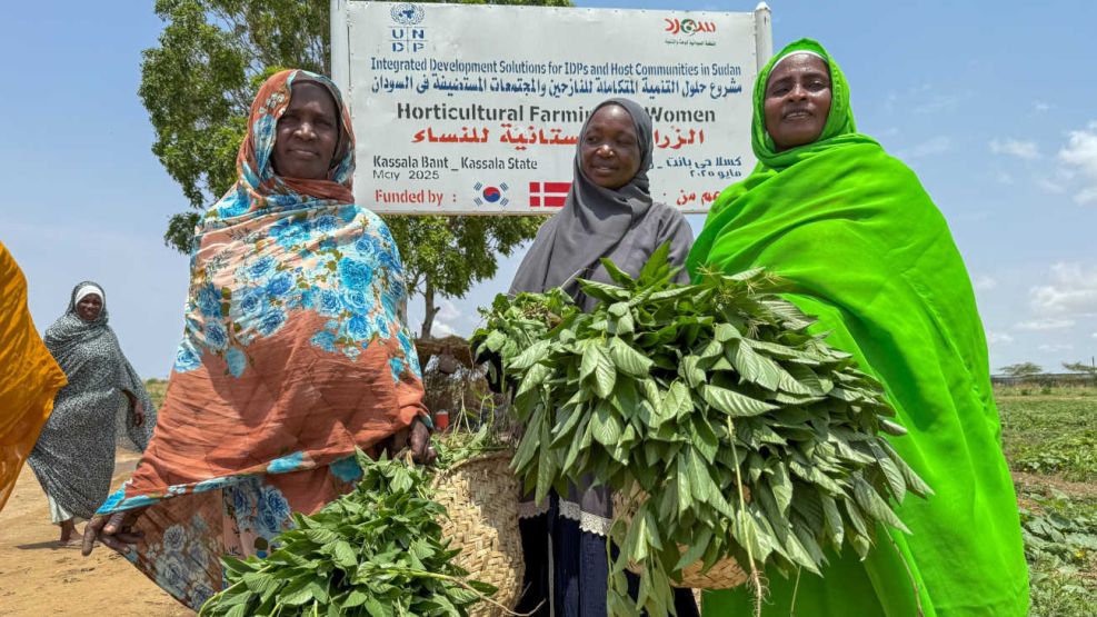 Programa de las Naciones Unidas para el Desarrollo Africa 20250827
