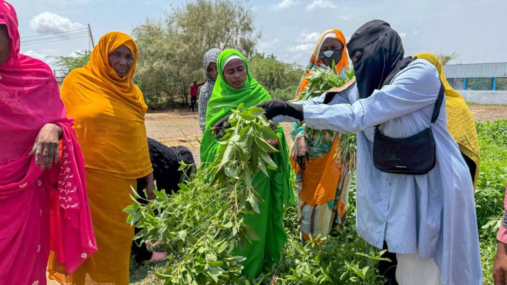 Programa de las Naciones Unidas para el Desarrollo Africa 20250827